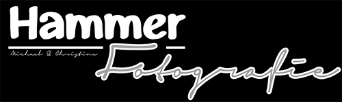 Foto Hammer Logo